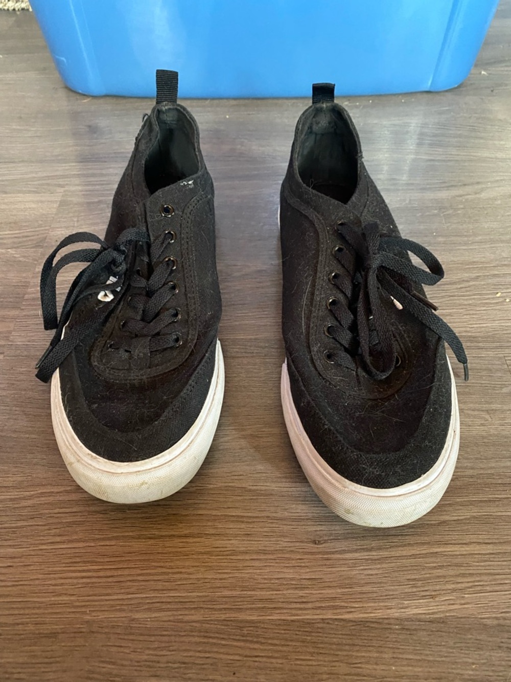 Men's Fila  Black Canvas Low-Top Sneakers